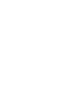 ico s6